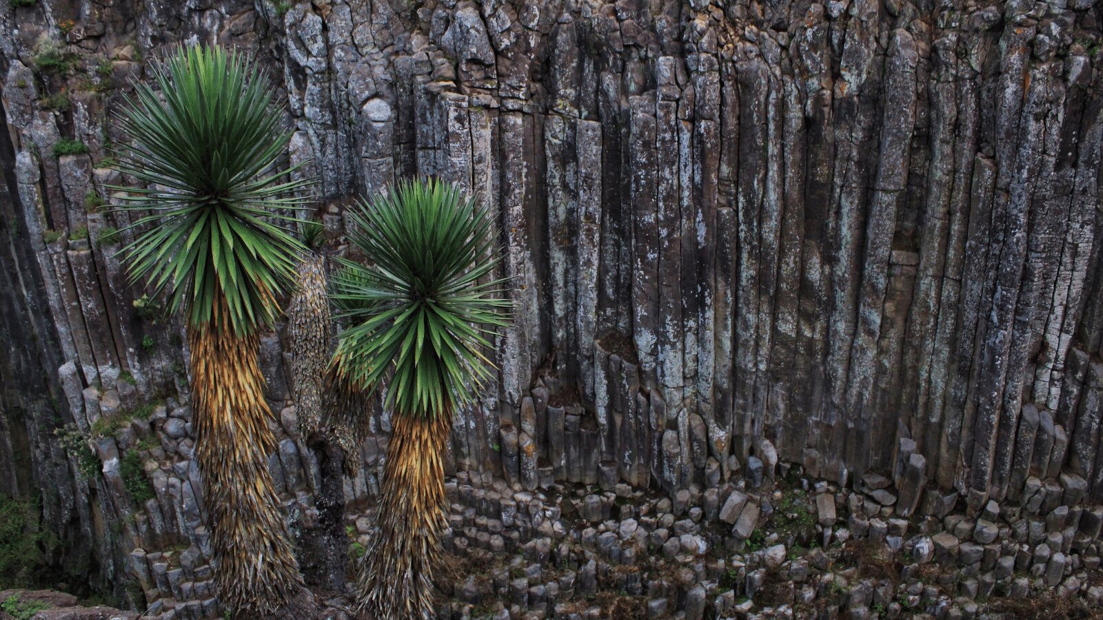 Huasca de Ocampo: por qué se considera lugar de duendes - El Sol